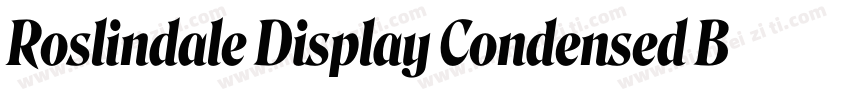Roslindale Display Condensed Bold字体转换
